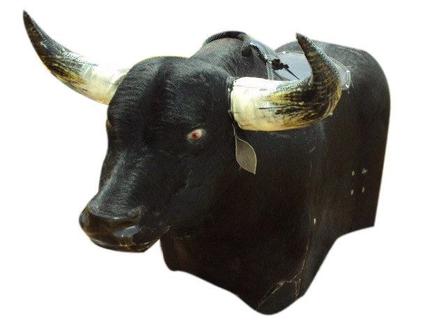 toro_con_ojos_rojos.png