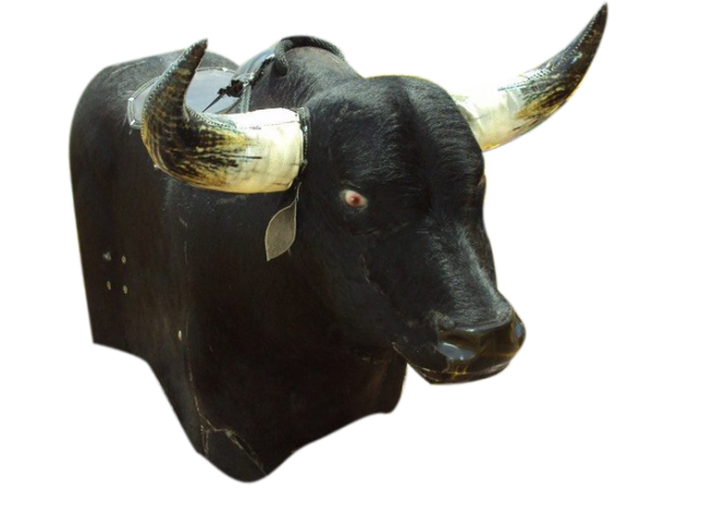 toro_con_ojos_rojos_2.png